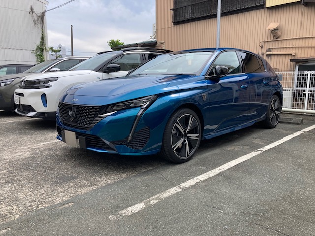 NEW308 HYBRID