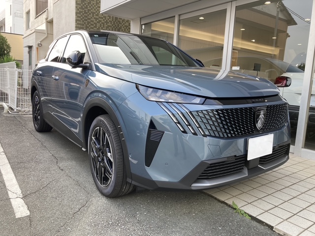 NEW 3008 Debut