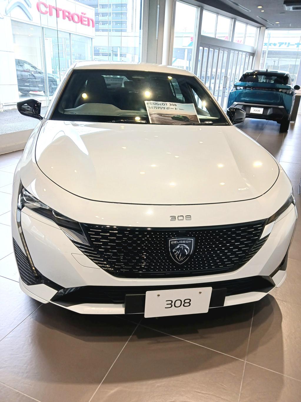 308限定特別サポート！