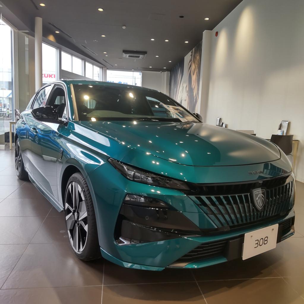 NEW308　デビューフェア！