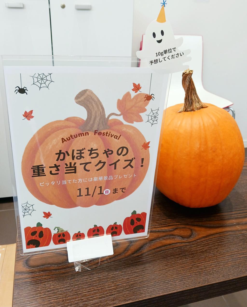 10月はプジョー浜松へ！